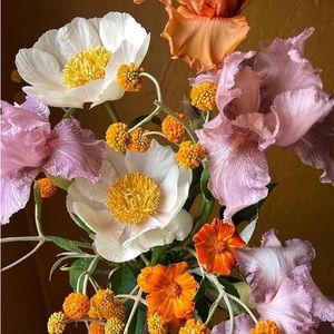 Meet your Posher, Renee